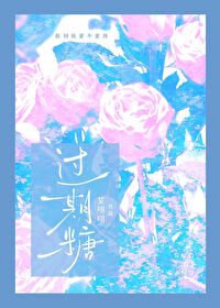 过期糖小说txt