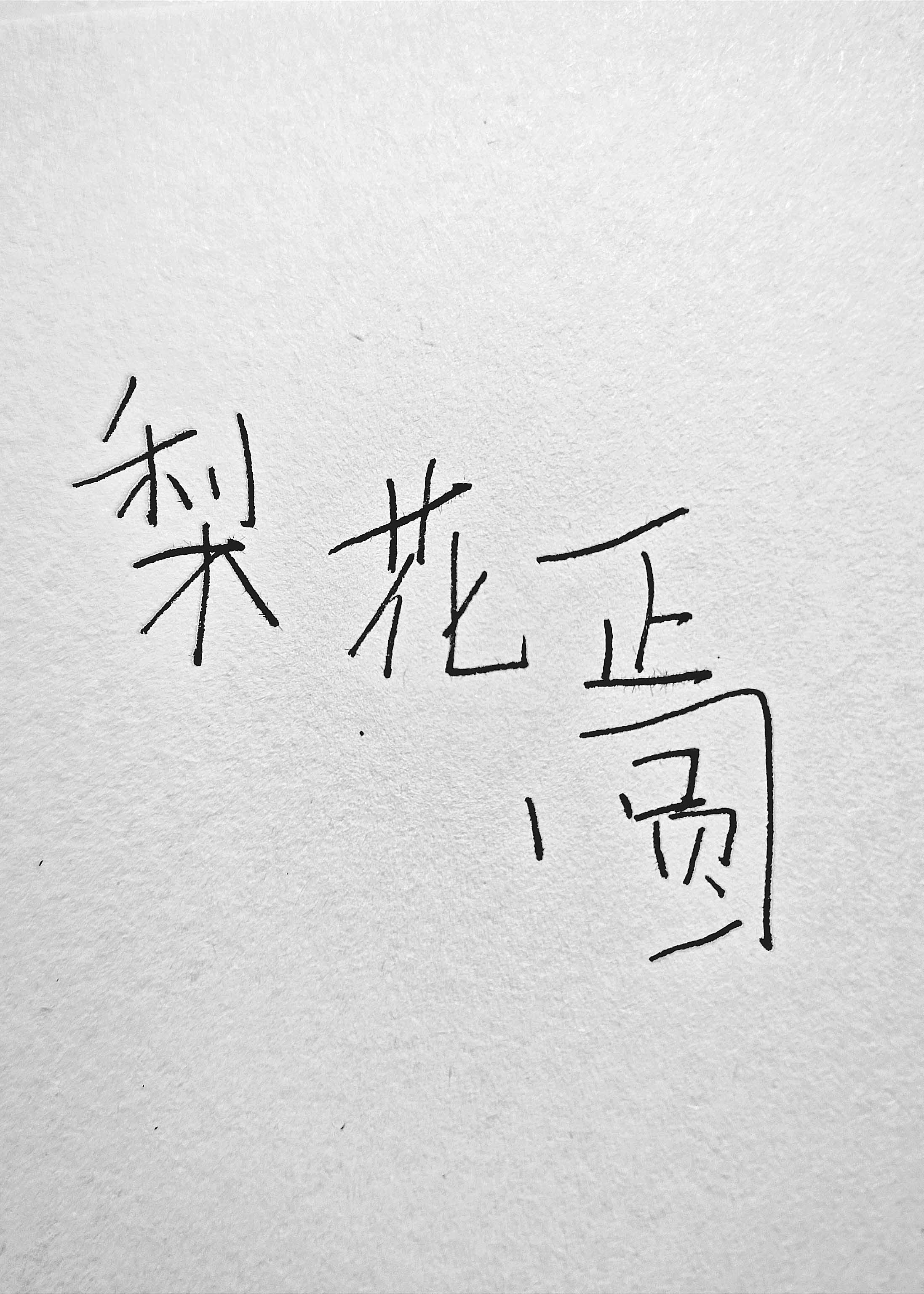 梨花正圆第28章