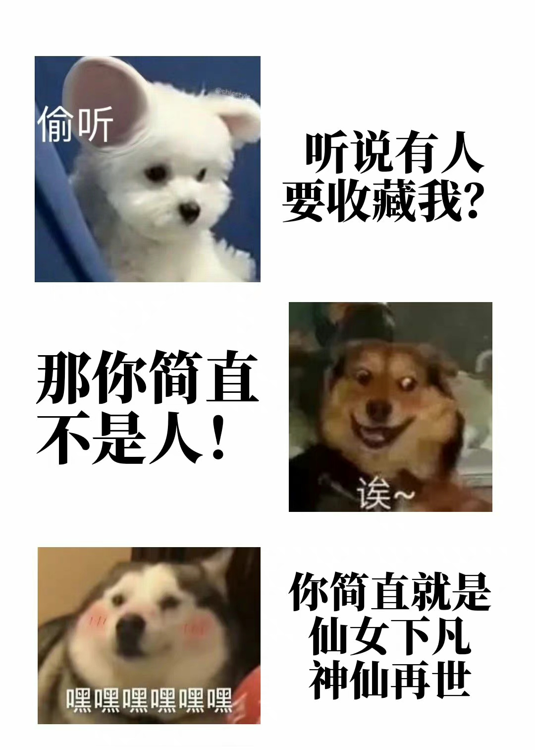 我娶大佬当老婆了 ...
