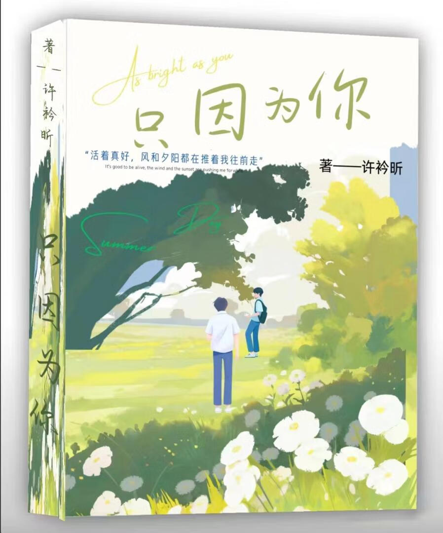 只因你伤心完整版