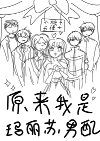 我是玛丽苏小说