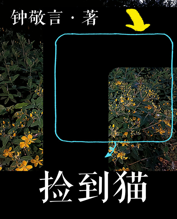 捡了一只猫队友小说