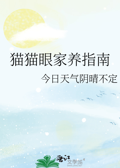 适合家养的猫猫排名