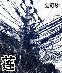 宝可梦莲叶童子进化