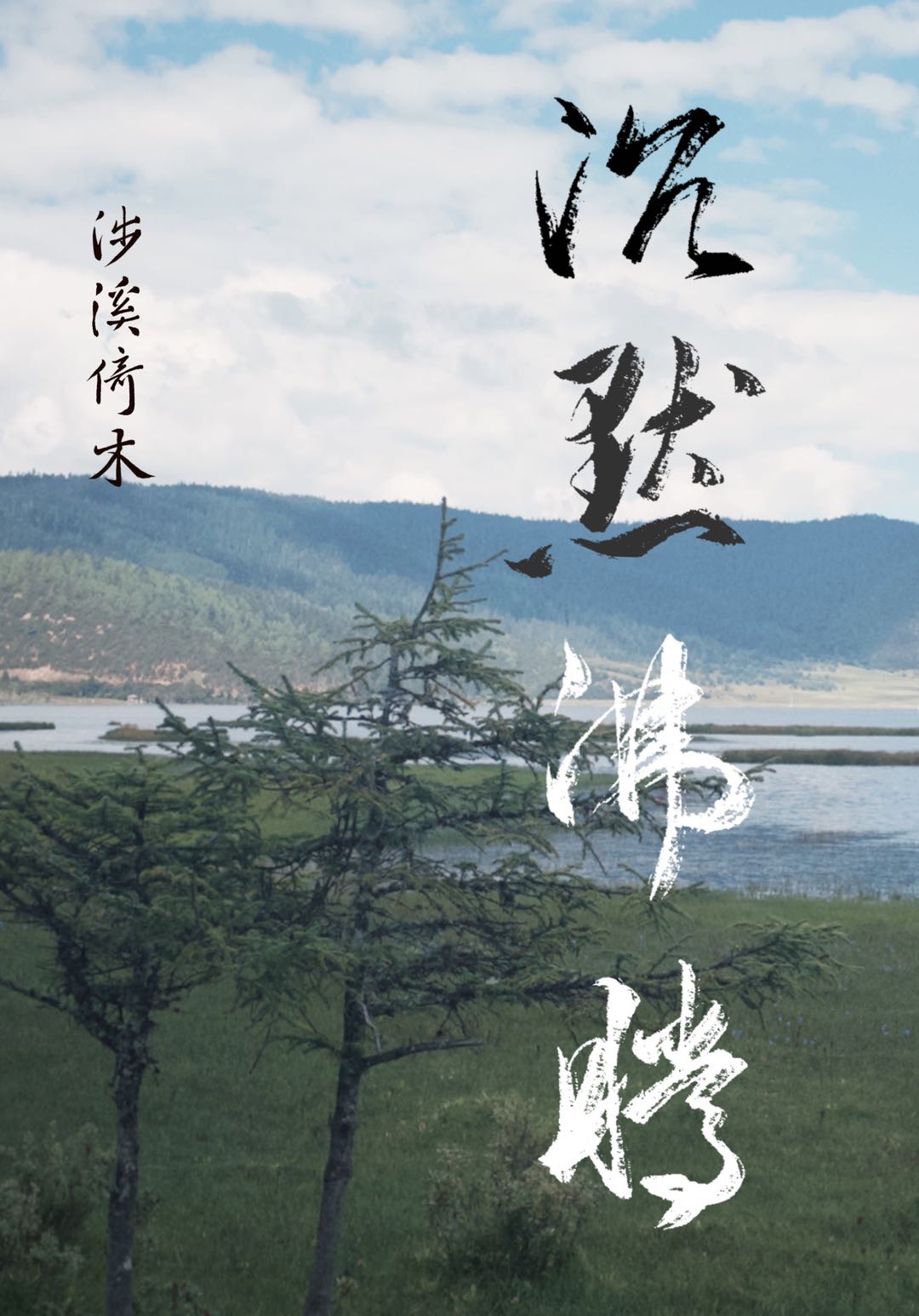 沉默lv8