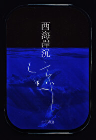 沉鲸骨小说