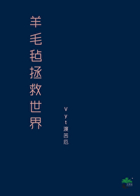 羊毛毡是啥