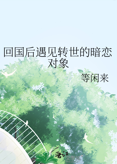 在国外相遇的后又回到国内的小说