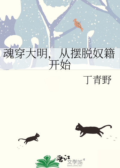 魂穿明朝