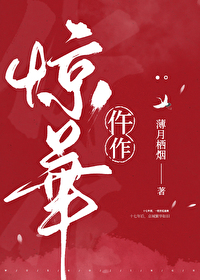 仵作惊华TXT百度网盘