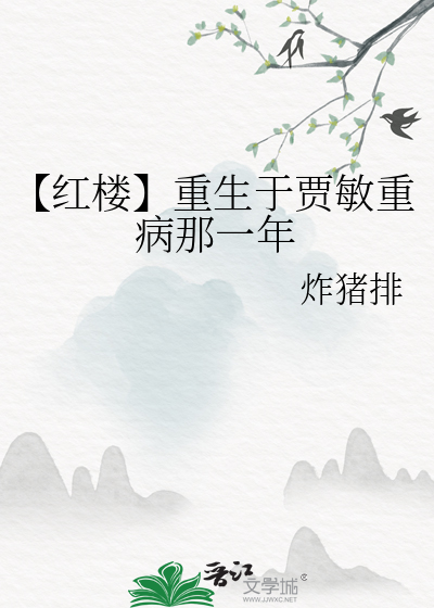 红楼梦贾敏重生小说