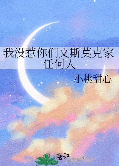 文斯莫克原型