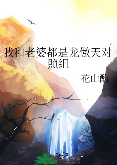九、我和我老婆都是女配