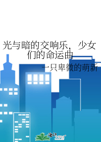 光与暗音乐