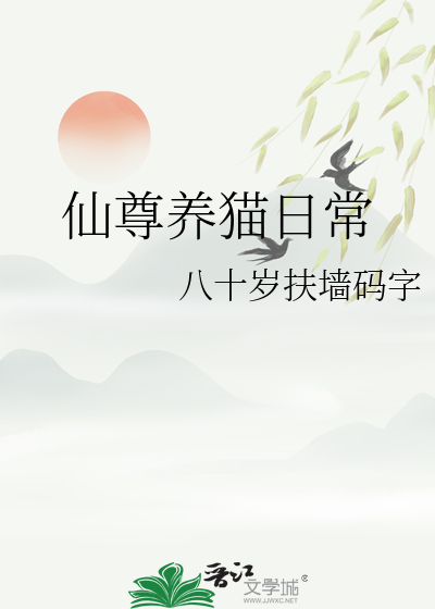 养猫的日常