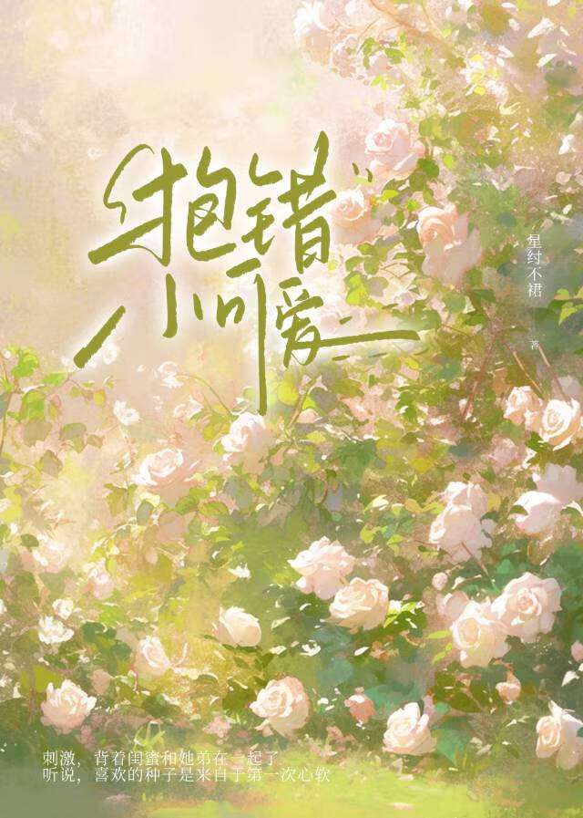 抱错娃的小说