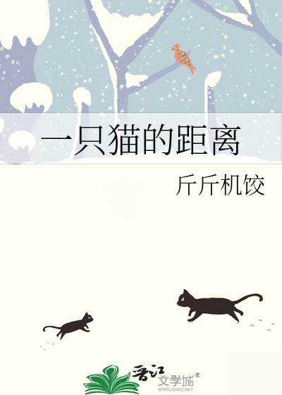 一只猫大约长多少米