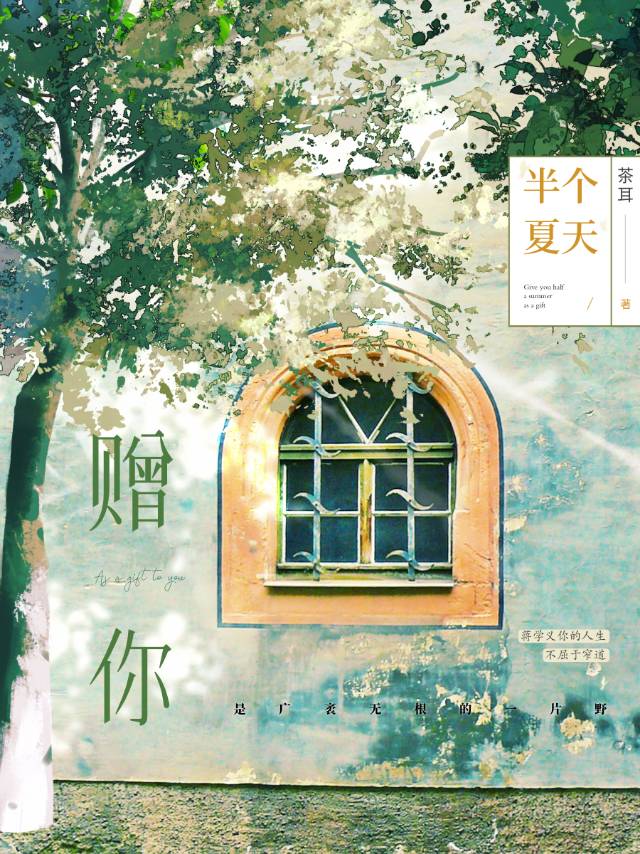 胤禛小说全