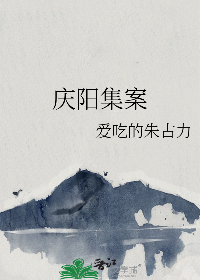 庆阳案子