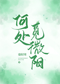 何处觅知音原唱简谱