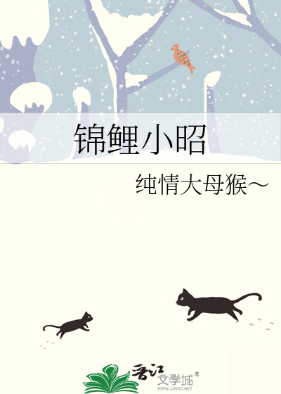 小锦鲤介绍