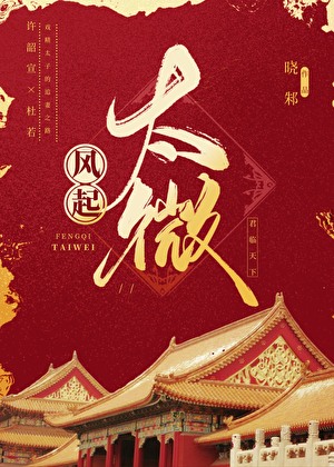 《风起微澜》